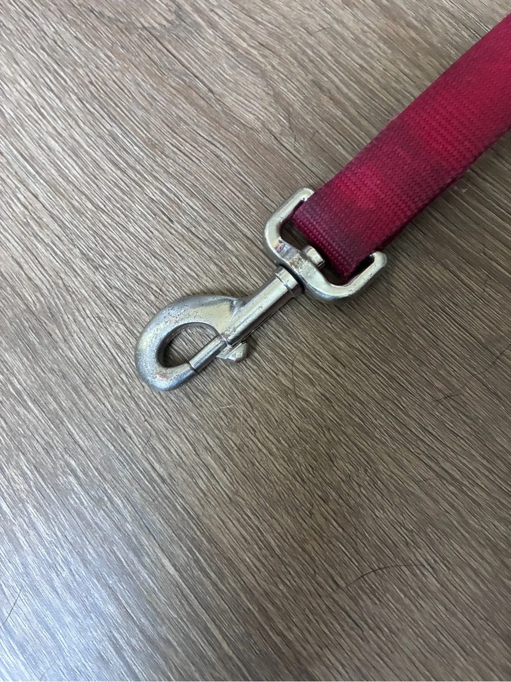 Coastal Red Nylon Dog Leash